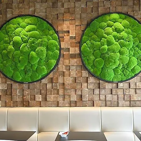 In Situ Hotel Valenciennes