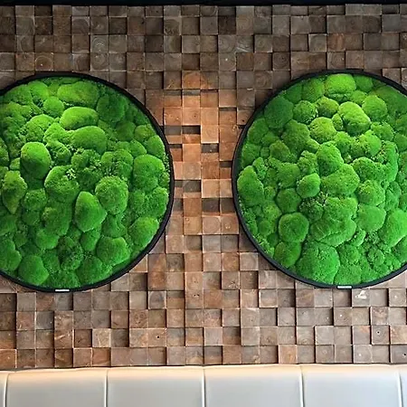 In Situ Hotel Valenciennes