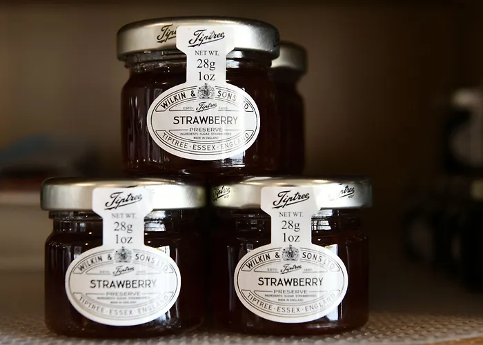 In Situ 3* Valenciennes