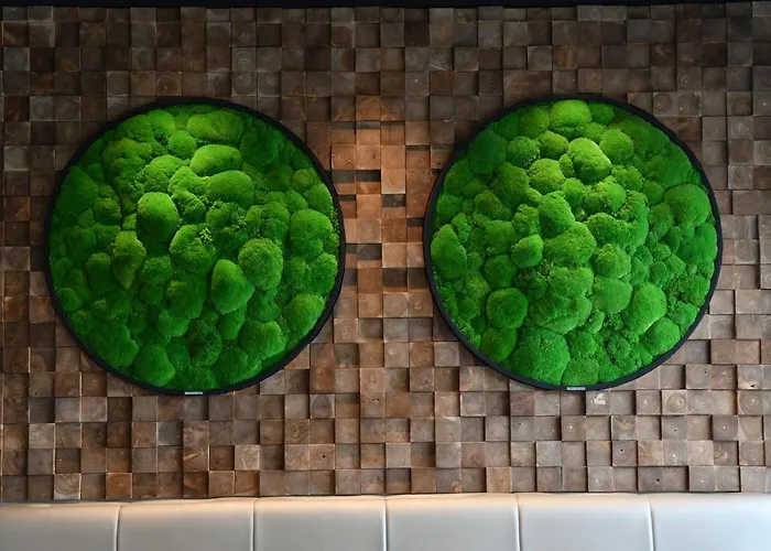 Hotel In Situ Valenciennes